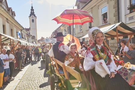 Izjemen obisk zaznamoval 50. Dneve narodnih noš in oblačilne dediščine v Kamniku (Boštjan Tacol)  (26)
